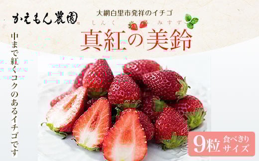 先行予約【2025年12月中旬より順次発送】大網白里市発祥のイチゴ「真紅の美鈴」９粒 食べきりサイズ いちご イチゴ 苺 希少 甘い 深紅 真紅の美鈴  ギフト 黒いちご 黒イチゴ 千葉県 大網白里市 思いやり型返礼品 M006