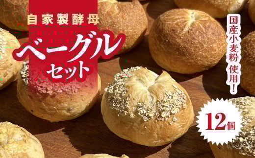 自家製酵母・国産小麦粉のベーグルセット 12個入り 千葉県 大網白里市 AZ001