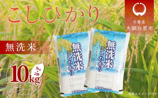 令和6年産 千葉県産「コシヒカリ」無洗米 10kg（5kg×2袋） ふるさと納税 米 無洗米 コシヒカリ こしひかり 千葉県 大網白里市 A057