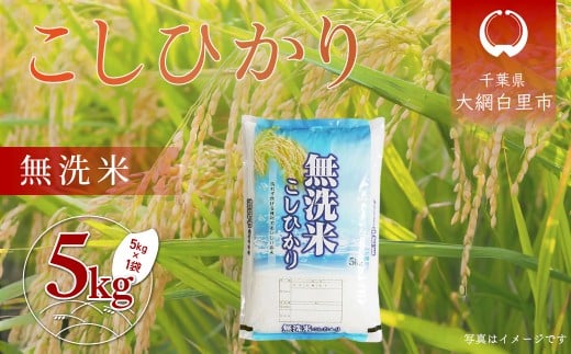 令和6年産 千葉県産「コシヒカリ」無洗米 5kg（5kg×1袋） ふるさと納税 米 無洗米 コシヒカリ こしひかり 千葉県 大網白里市 A056