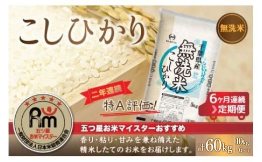 ＜6ヶ月定期便＞2年連続特A評価！千葉県産コシヒカリ【無洗米】10kg×6ヶ月連続 計60kg 【 ふるさと納税 米 定期便千葉県産 大網白里 コシヒカリ 無洗米 こめ 送料無料 】 E023