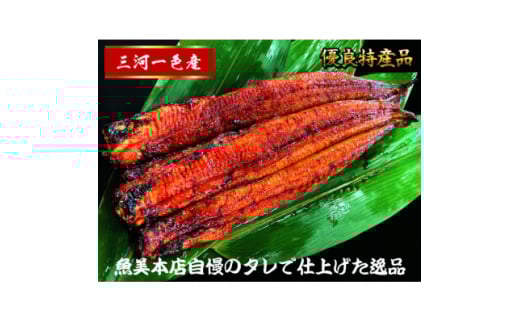 三河一色産　うなぎ蒲焼　2尾　【1367416】