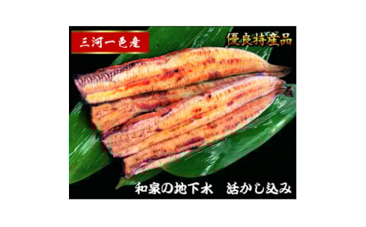三河一色産　うなぎ白焼き　2尾【1367511】