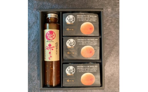 醗の赤生タレ　醗酵ブレンド　1本+ミネラル醗酵梅ソース3個(化粧箱入り)【1339809】