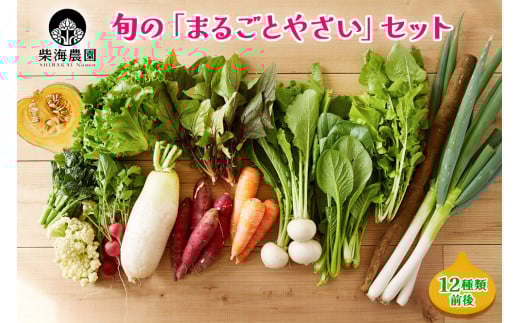 柴海農園 旬の「まるごとやさい」セット (12種類前後) [0222]