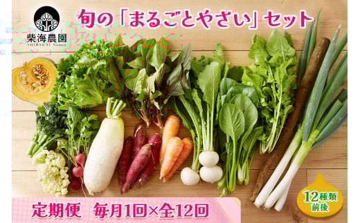 [定期便 毎月12回お届け] 柴海農園 旬の「まるごとやさい」セット (12種類前後) [0223]