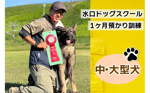 水口ドッグスクール 1ヶ月預かり訓練 (中・大型犬)｜犬 しつけ レッスン トレーニング 長期 合宿 お泊り 競技 飼い主 印西 千葉 [0506]