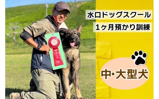 水口ドッグスクール 1ヶ月預かり訓練 (中・大型犬)｜犬 しつけ レッスン トレーニング 長期 合宿 お泊り 競技 飼い主 印西 千葉 [0506]