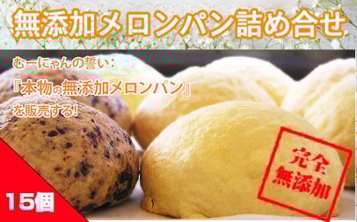No.009 無添加メロンパン詰め合せ　15ヶ入り ／ めろんパン チョコ クリーム入り 国産小麦粉 神奈川県 特産品