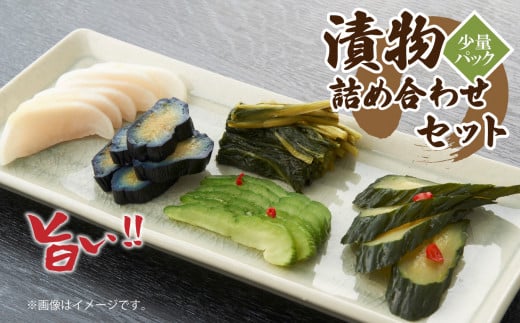E02 旬の野菜の漬物詰め合せセット 3~4種類 | 漬物 つけもの 漬け物 野菜 無添加 旬の野菜 詰め合わせ 奈良県 御杖村 みつえむら
