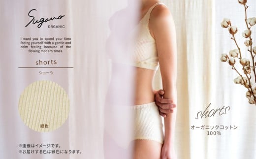 SuganoORGANICショーツ3点セット Lサイズ 緑 綿 SUAオーガニックコットン100％ | オーガニック コットン 下着 ショーツ マタニティ 緑 Lサイズ 農薬不使用 化学肥料不使用 締め付けない やわらかい 保湿性 保温性 フィット 国産 肌に優しい スガノ工房 肌着 奈良県 御杖村 みつえむら