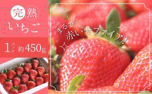 (予約受付中)【12月以降順次発送】まるで赤いサファイア!!丹精込めた完熟いちご!! 約450g H130-012
