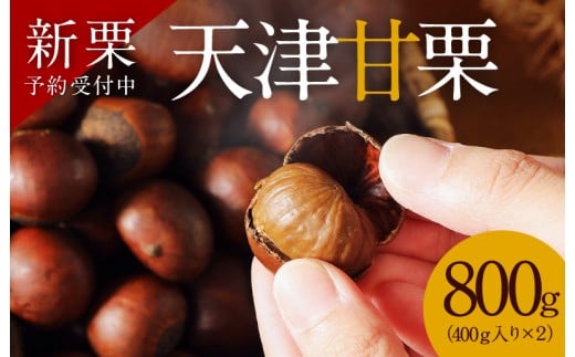 【新栗】(予約受付)この道50年の職人が焼く、やさしい甘みたっぷりの「天津甘栗」 800g ! 新栗 焼きたて 栗 くり 栗爪 殻付き お菓子 おつまみ 人気 高リピート 小分け 栗ご飯 栗きんとん 甘露煮 予約 先行 受付中 H045-053