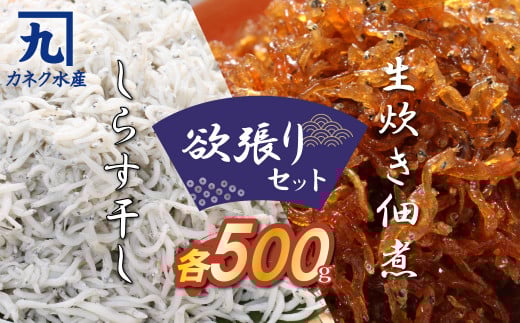 【150セット限定】しらす屋のしらす干しと佃煮の欲張りセット 魚介類 しらす シラス 国産 海の幸 ご飯のお供 おつまみ しらす丼 グルメ ギフト 贈り物 やみつき 冷凍 H006-080