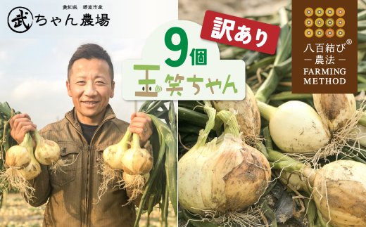 【2026年発送】【食品ロス削減】(訳あり)笑顔で笑顔を作る武ちゃん農場の新玉ねぎ“玉笑ちゃん” 9個 H095-030