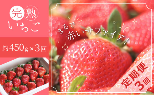 (予約受付中) 【いちご定期便】(1月2月3月お届け)まるで赤いサファイア!!丹精込めた完熟いちご!! 約450g×3回 H130-013