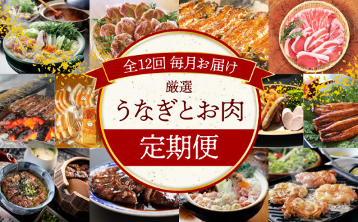 【全12回】厳選!うなぎとお肉の定期便(毎月お届け) H028-076