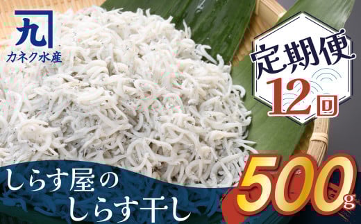 しらす屋のしらす干し 500g×12ヶ月 定期便 魚介類 しらす シラス 国産 海の幸 ご飯のお供 おつまみ しらす丼 グルメ ギフト 贈り物 やみつき 冷凍 H006-086