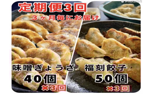 【定期便全3回】3ヶ月に1回お届け 居酒屋のおかあちゃん手作り “パリパリひと口ぎょうざ”と“もちもち餃子”コラボセット 合計90個 H136-045