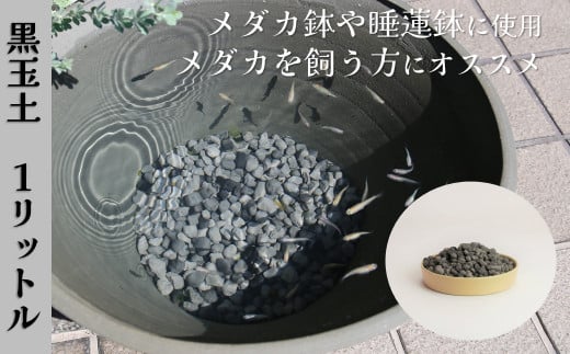 【バクテリアが多く住める多孔質ろ材】黒玉土1リットル めだか鉢 金魚鉢 メダカ 鉢 陶器 睡蓮 多孔質土 H100-085