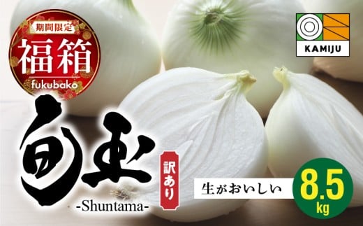 【福箱★2026】訳あり 新玉ねぎ 旬玉8.5kg 生がおいしい神重農産のブランド玉ねぎ H105-169