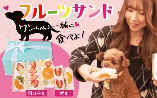 甘さ控えめ!八百屋が厳選したワンちゃん&飼い主様フルーツサンドセット 5個セット フルーツ フルーツサンド 犬 愛犬 一緒 果物 くだもの H151-012