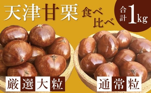 【新栗】(予約受付)この道50年の職人が焼く、やさしい甘みたっぷりの「厳選大粒と通常サイズ」合計1kg!新栗 焼きたて 栗 くり 栗爪 殻付き お菓子 おつまみ 人気 高リピート 小分け 栗ご飯 栗きんとん 甘露煮 予約 先行 受付中 H045-063