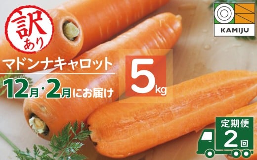 <フジテレビ『どっちのふるさと?』で紹介されました!>訳あり 隔月2回定期便 にんじん 12月・2月お届け マドンナキャロット にんじん 人参 ニンジン 野菜 やさい 国産 碧南市 健康 食品ロス削減 甘い 先行予約 旬 特産 高評価 高リピート 人気 隔月 H105-170