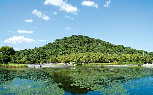 ５.【景観・環境】豊かな自然や環境を残していくための保全事業