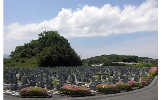 墓地の清掃作業◇