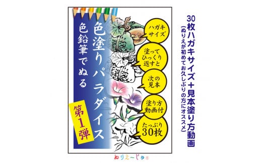 「色塗りパラダイス」ハガキサイズ色鉛筆で初めての方も安心【30枚】見本が見やすく塗り方説明動画のオマケ付き。たっぷりの絵柄にドンドン挑戦できるのが特徴。 ※着日指定不可