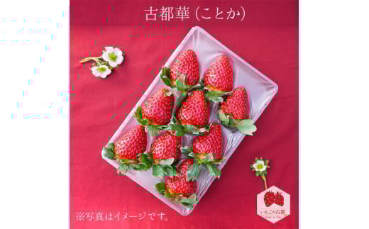 【先行予約・数量限定】【奈良県知事賞受賞】【食べ比べセット】古都華(ことか)2パック・ならあかり1パック・奈乃華1パック|とのあさイチゴ農園 ※2026年1月中旬~5月上旬頃に順次発送予定