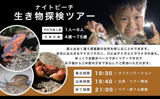 【ふるさと納税】ガイドツアー ナイトビーチ 生き物探検ツアー 渡嘉敷島 約1.5時間コース