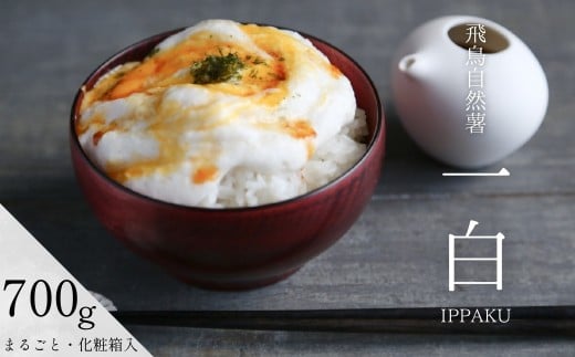 【11月末頃~3月下旬発送】飛鳥自然薯 『一白 IPPAKU』(約700g×1箱)