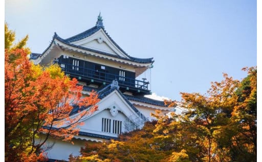 家康公と三河武士の誇りをつなぐ歴史観光