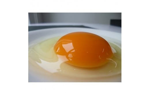 「地元ブランド」テツマEMたまご　濃厚な味わいたまご　40個入り【1200616】