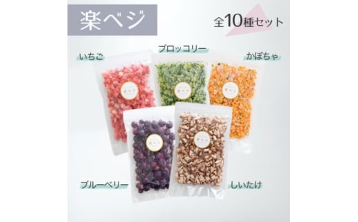 冷凍フルーツと野菜を手軽に!ダイスフルーツと野菜の楽ベジ10種セット【1644036】
