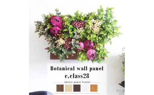 Botanical c.class 28　ホワイトウッド