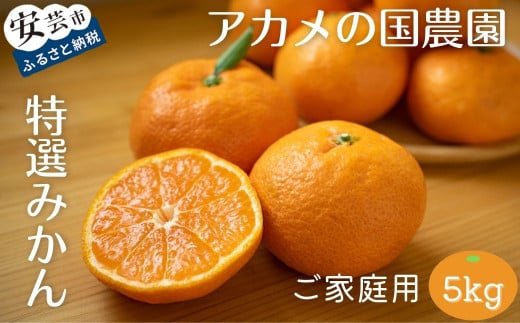 アカメの国農園特選みかん (家庭用 5㎏) みかん ミカン 柑橘 フルーツ 果物 高知県 安芸市 太平洋 山 標高300メートル 自然 濃厚 太陽 光 ワケあり 訳あり 家庭用 詰め合わせ L 2S サイズ 風味 12月 冬 ギフト 贈り物 プレゼント 数量限定 人気 おいしい 美味しい 甘い 酸っぱい 旬 季節 特選 厳選 農園 農家 直送 産地 安芸市 高知県