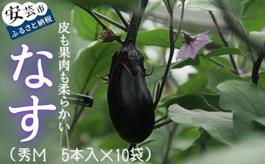 高知県安芸市産ナス(秀M 5本入 10袋) なす 夏野菜 特産品 ハウス栽培 エコシステム栽培 環境配慮 福祉支援 自立支援 就労支援 障がい者支援 こうち絆ファーム 農業 和食 洋食 中華 料理 冷蔵保存 ラップ包装 みずみずしい 甘い 果肉 柔らかい 安芸市 高知県