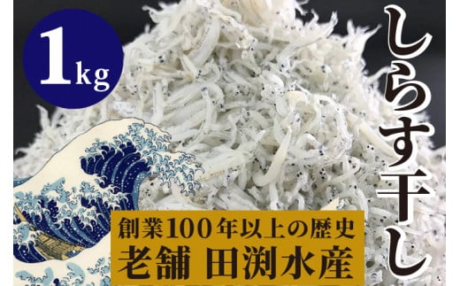 田渕水産のしらす干し 1kg しらす ちりめんじゃこ 新鮮 天日干し うす塩 太平洋 黒潮 水揚げ 自然 旨味 美味しい やみつき ご飯のお供 おかず おつまみ 保存食 常備菜 カルシウム 栄養 健康 和食 魚介 海産物 500g×2 季節 安芸市 高知県