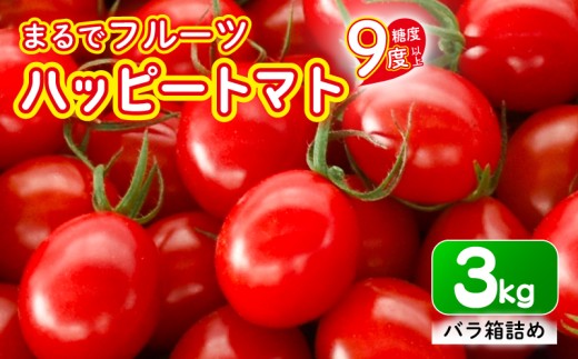 【先行予約】ハッピートマト3㎏
