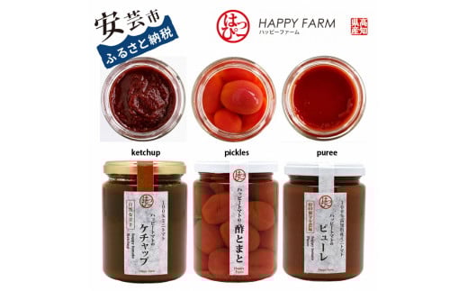トマト調味料 ハッピートマトCセット ケチャップ 酢とまと ピューレ 3本セット 詰め合わせ ギフト 贈り物 ご贈答 自然 甘さ 酸味 上品 繊細 ミニトマト リンゴ酢 ピクルス フルーティー 濃厚 高糖度 砂糖不使用 塩のみ ラッピング のし対応 ハッピーファーム 240g 3種 安芸市 高知県