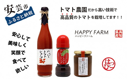 ハッピートマトBセット トマトジュース トマトドレッシング ケチャップ 詰め合わせ 贈答用 ギフト 父の日 無添加 ノンオイル ヘルシー 濃厚 甘酸っぱい 自然な甘さ サラダ 冷しゃぶ パスタ 魚料理 鍋料理 カクテル 500ml 200ml 240g のし対応 ラッピング ハッピーファーム 安芸市 高知県