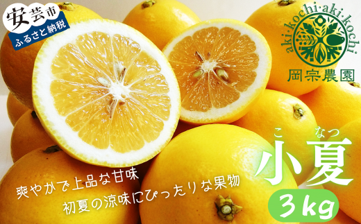 小夏 3kg フルーツ 果物 みかん 期間限定 季節限定 旬 柑橘 家庭用 自宅用 ギフト プレゼント 贈答 贈答用 こなつ 日向夏 ニューサマーオレンジ オレンジ デザート スイーツ アレンジ ゼリー ジャム ケーキ メリーガーデン 高知県産 高知県安芸市