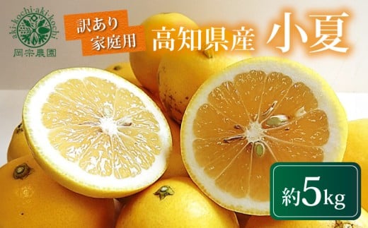 [先行受付] 訳あり 小夏 5kg 家庭用 フルーツ 果物 みかん 期間限定 季節限定 旬 柑橘 自宅用 ご家庭用 訳アリ こなつ 日向夏 ニューサマーオレンジ オレンジ デザート スイーツ アレンジ ゼリー ジャム ケーキ メリーガーデン 高知県産 高知県安芸市