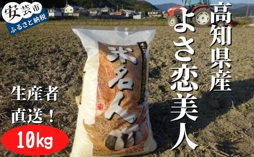 令和7年産 よさ恋美人 白米 10kg お米 白米 精米 新米 産地直送 スピード発送 ごはん ご飯 高知県産 弁当 おにぎり 料理 新嘗祭皇室献上米 令和7年 R7年 高知県安芸市
