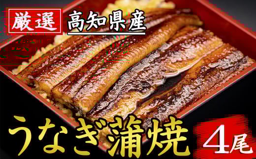 厳選 高知県産うなぎ 4尾 うなぎ蒲焼き 国産 特製タレ 電子レンジ 解凍 簡単調理 ふんわり柔らか 旨味 風味 香ばしい 職人手焼き 1尾 170g 180g とっと家 うな重 土用の丑の日 夏バテ対策 スタミナ食 ギフト 贈り物 お取り寄せ グルメ 高級 うなぎ料理 こだわり うな丼 安芸市 高知県