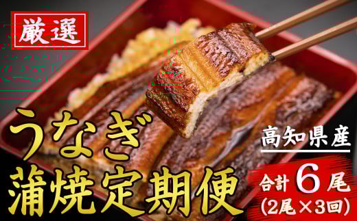 厳選!!高知県産うなぎの蒲焼き(2尾) 3回定期便 うなぎ 蒲焼 高知県産 定期便 うな重 土用丑の日 国産 鰻 贈答品 ギフト 特産品 グルメ ふるさと納税 返礼品 特製タレ 解凍方法 電子レンジ 加熱 旨味 風味 ふんわり 柔らか 職人 手焼き 2尾 170g 180g 3回 安芸市 高知県