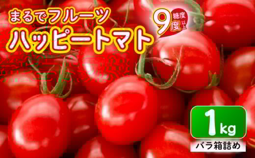 【先行予約】ハッピートマト1㎏